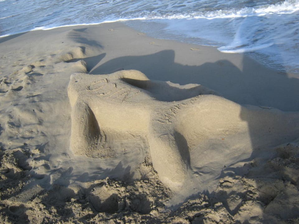 Tiere: Delphin Grand Palladium White Island Resort & Spa