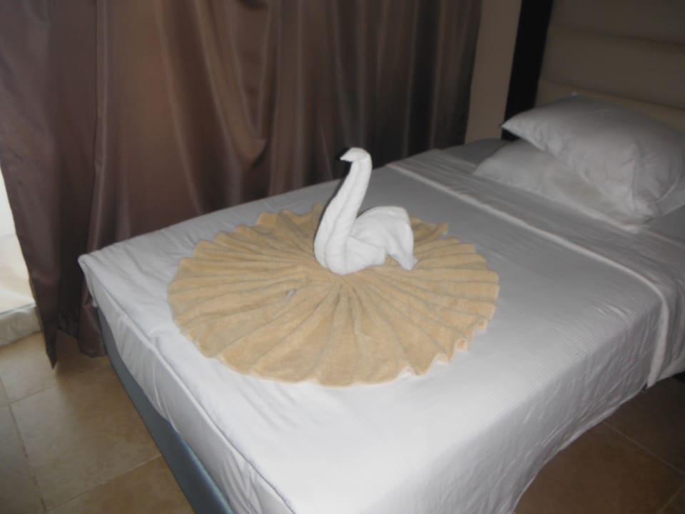 Zimmer Pickalbatros Palace Resort