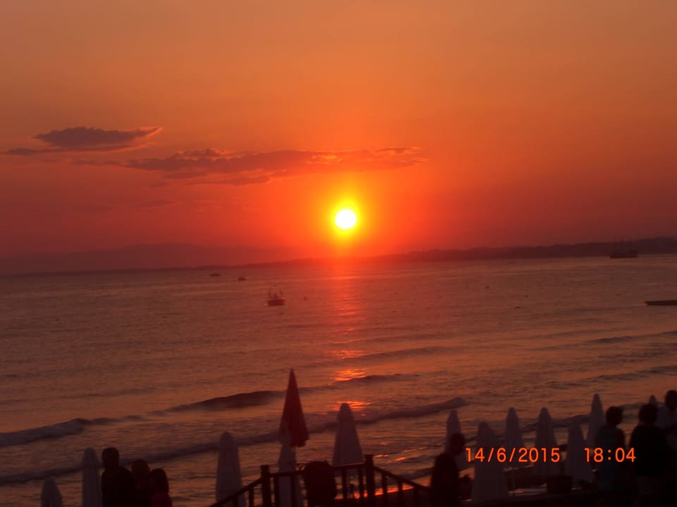 Von der Terrasse Clover Magic Nova Beach