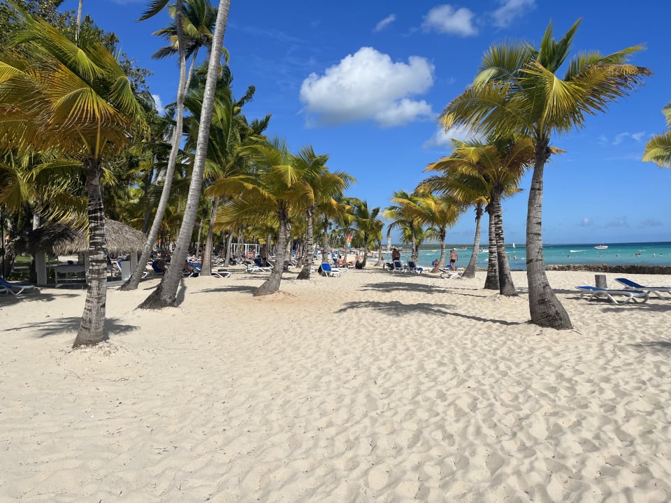 Strand Hotel Viva Dominicus Palace by Wyndham-All Inclusive Resort