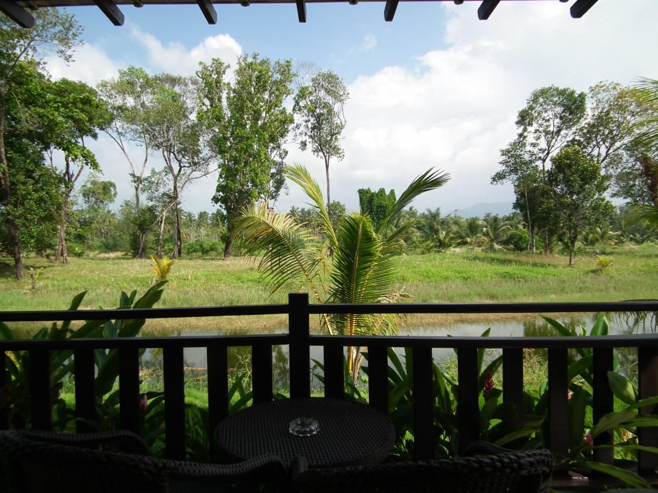 Besser als Meerblick Khaolak Blue Lagoon Resort