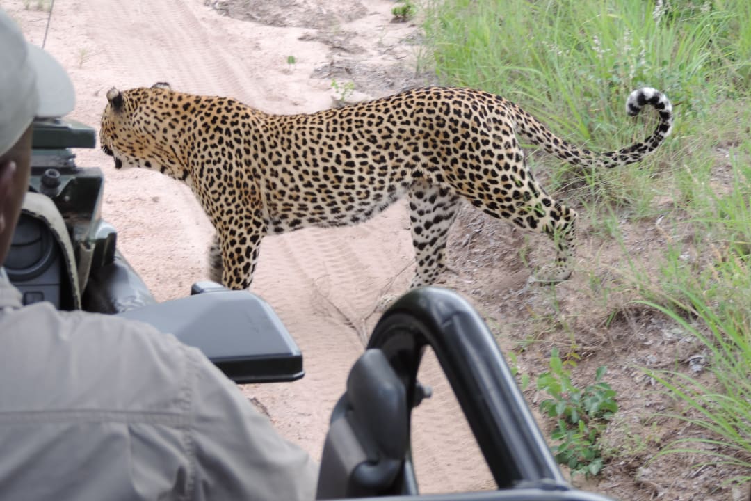 Sport & Freizeit Inyati Game Lodge