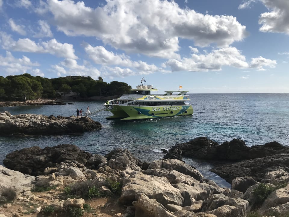 Ausblick Iberostar Waves Pinos Park