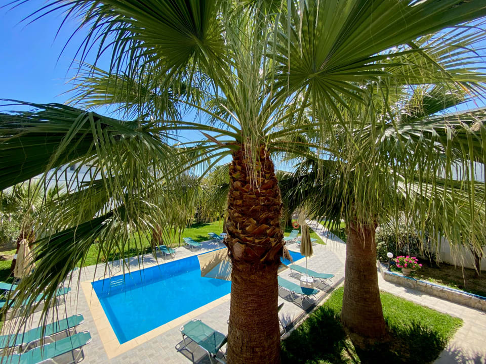 Ausblick Apartments Manolis