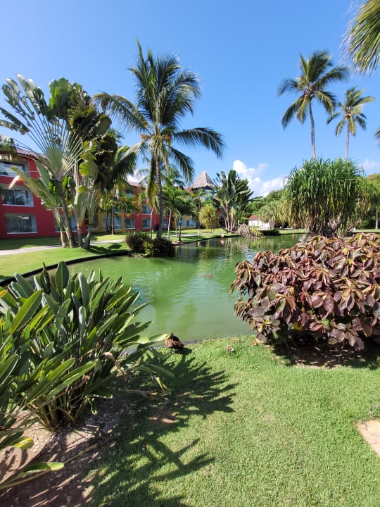 Gartenanlage Caribe Deluxe Princess