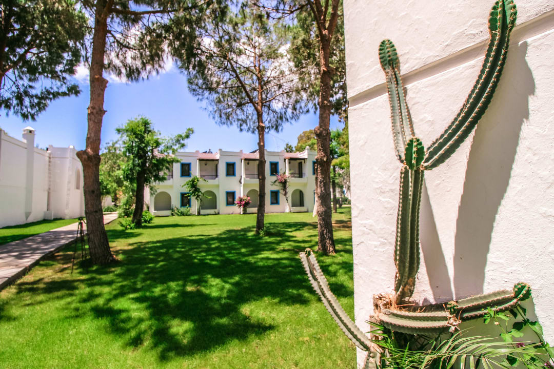 Gartenanlage Hotel Club Muskebi