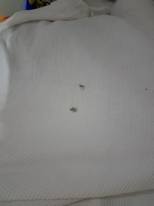 Zimmer Hotel Kleopatra Aytur Apart