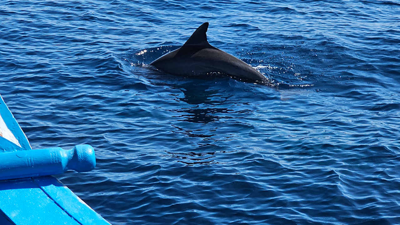 Sonstiges Adaaran Select Meedhupparu Island Resort - Premium All Inclusive