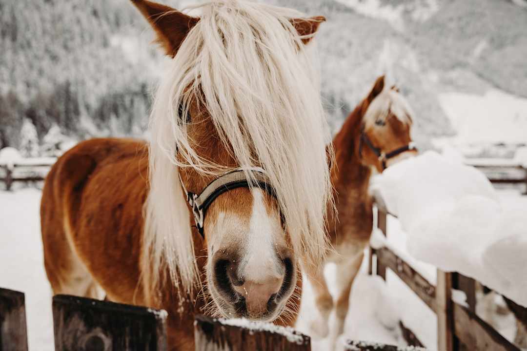 Sonstiges Gut Berg Naturhotel