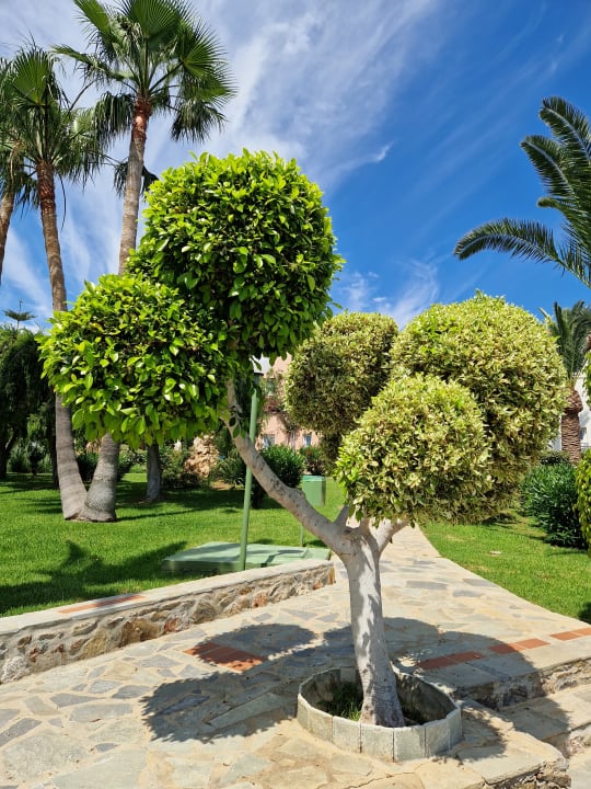 Gartenanlage Iberostar Waves Creta Panorama & Mare