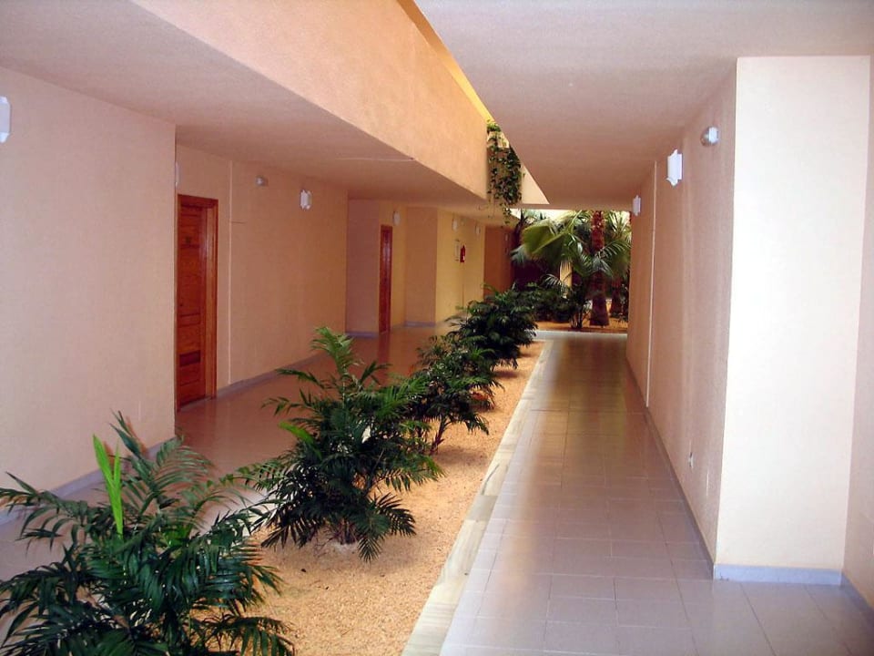 Zu den Zimmer Zafiro Bahia