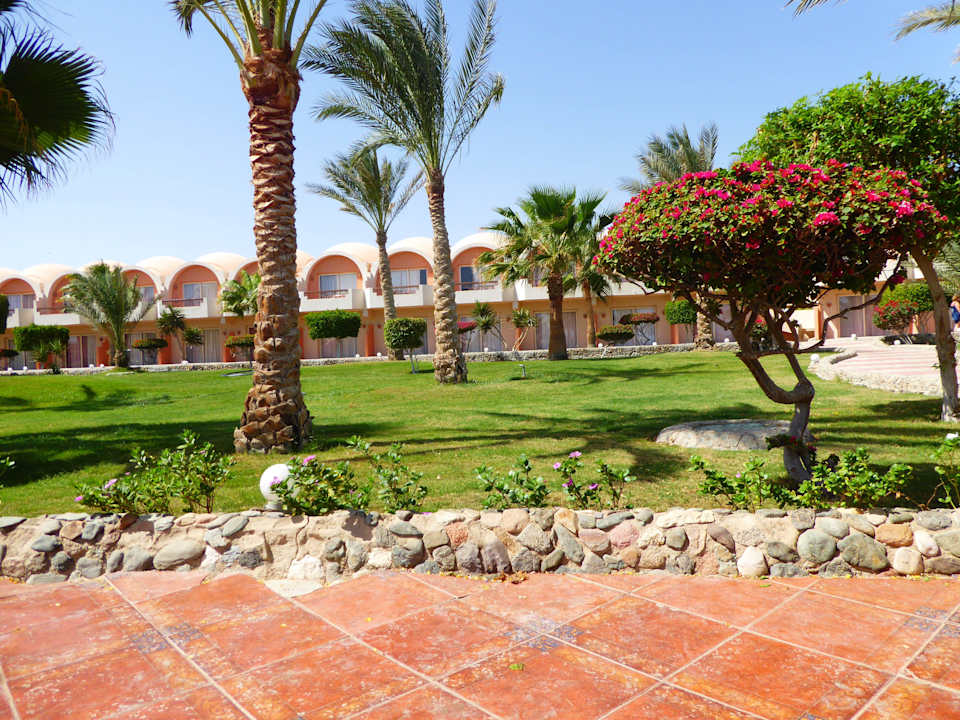 Ogród Three Corners Sea Beach Resort