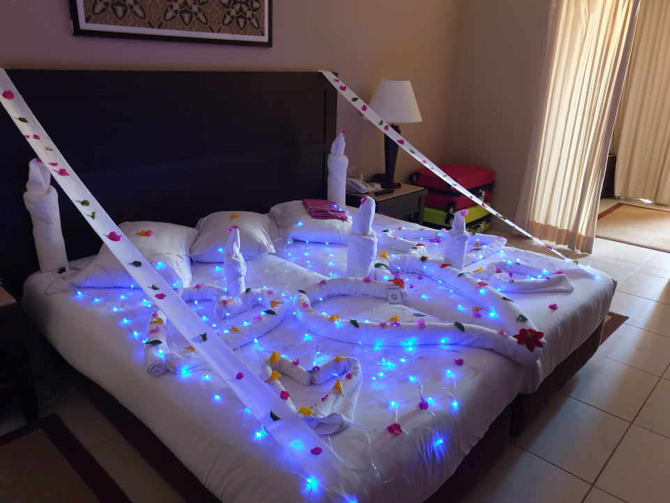 Zimmer Jaz Dar EL Madina