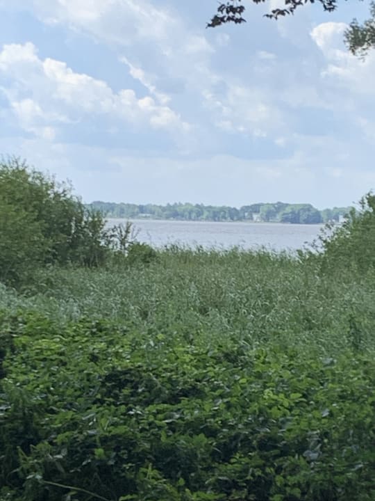 Ausblick Romantik Hotel Jagdhaus Eiden am See