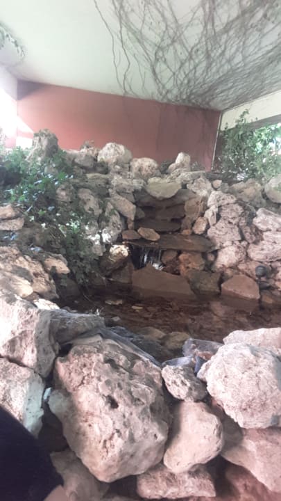 Sonstiges Odessos Park Hotel