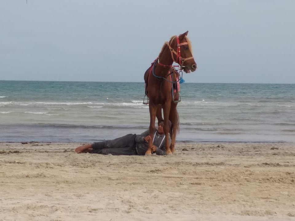Strand Iberostar Waves Mehari Djerba