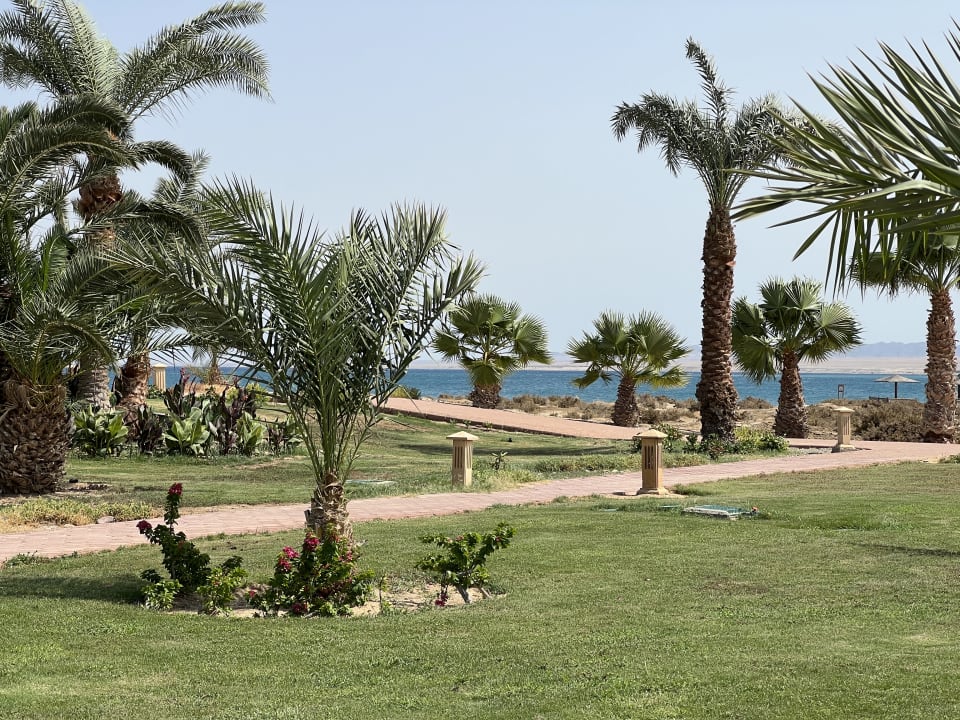 Gartenanlage Lahami Bay Beach Resort
