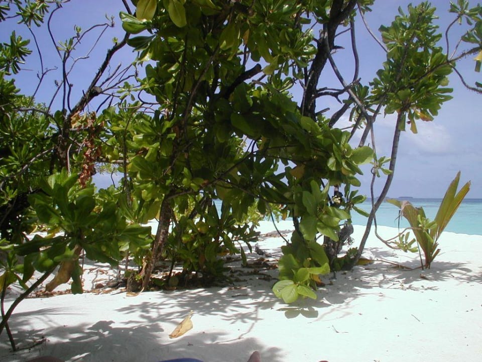 Strand von Thulagiri Thulhagiri Island Resort