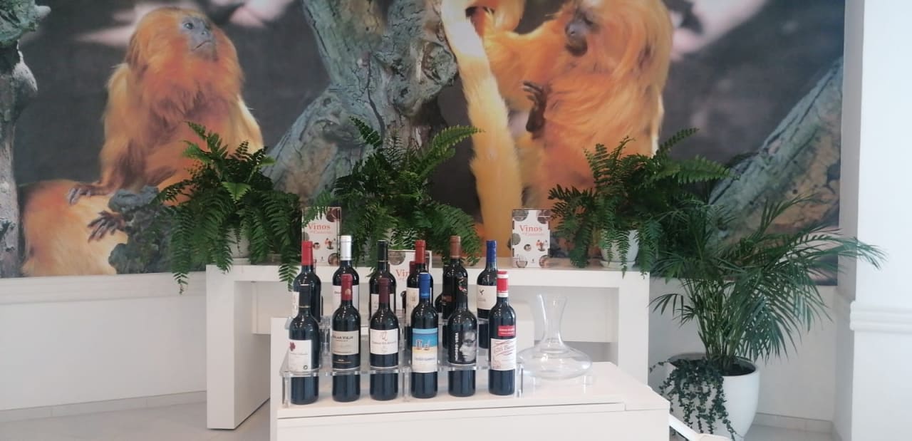 Gastro Iberostar Waves Bouganville Playa