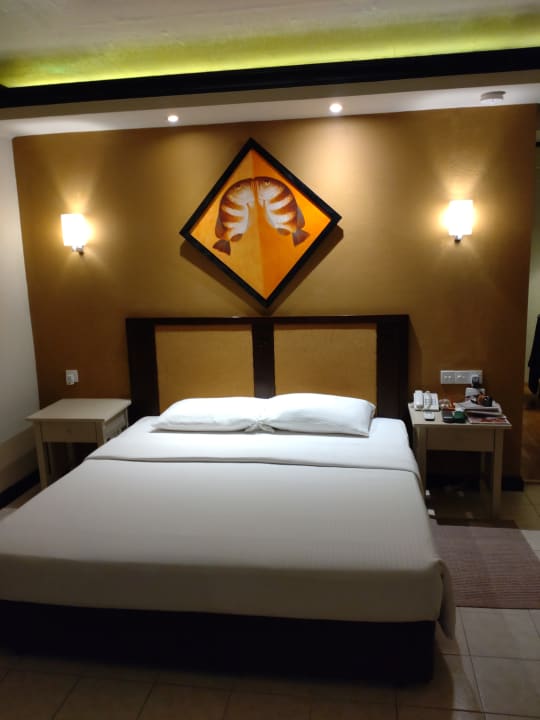 Zimmer Ellaidhoo Maldives by Cinnamon