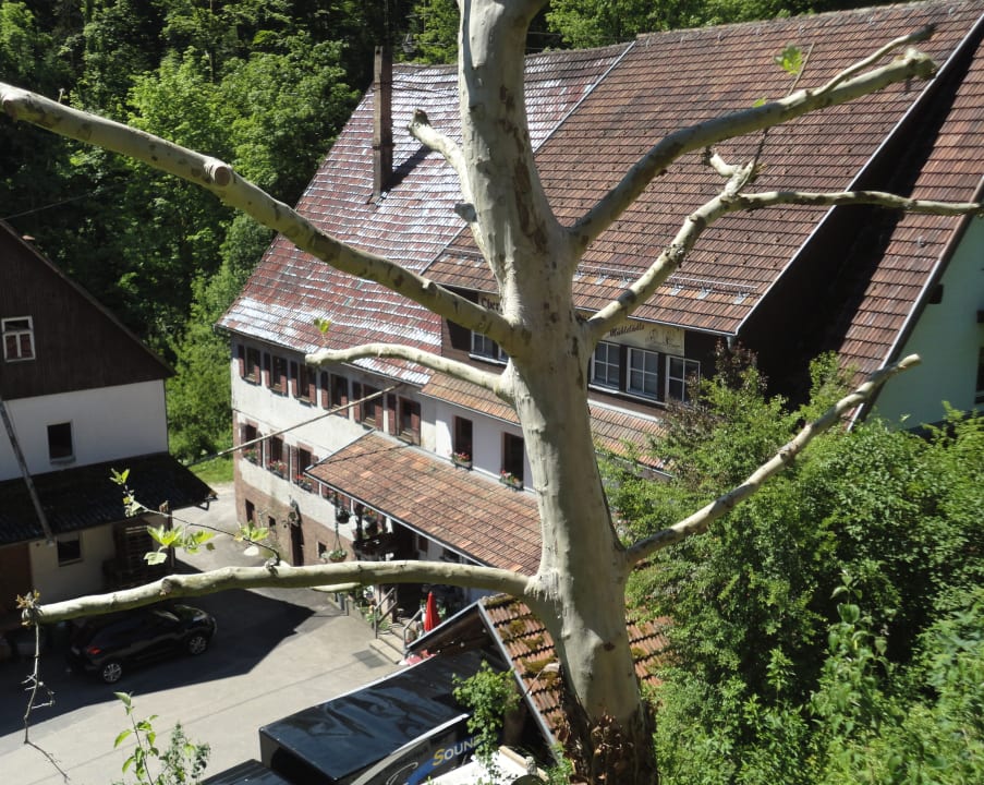 Au Enansicht Ringhotel M Nchs Waldhotel Unterreichenbach