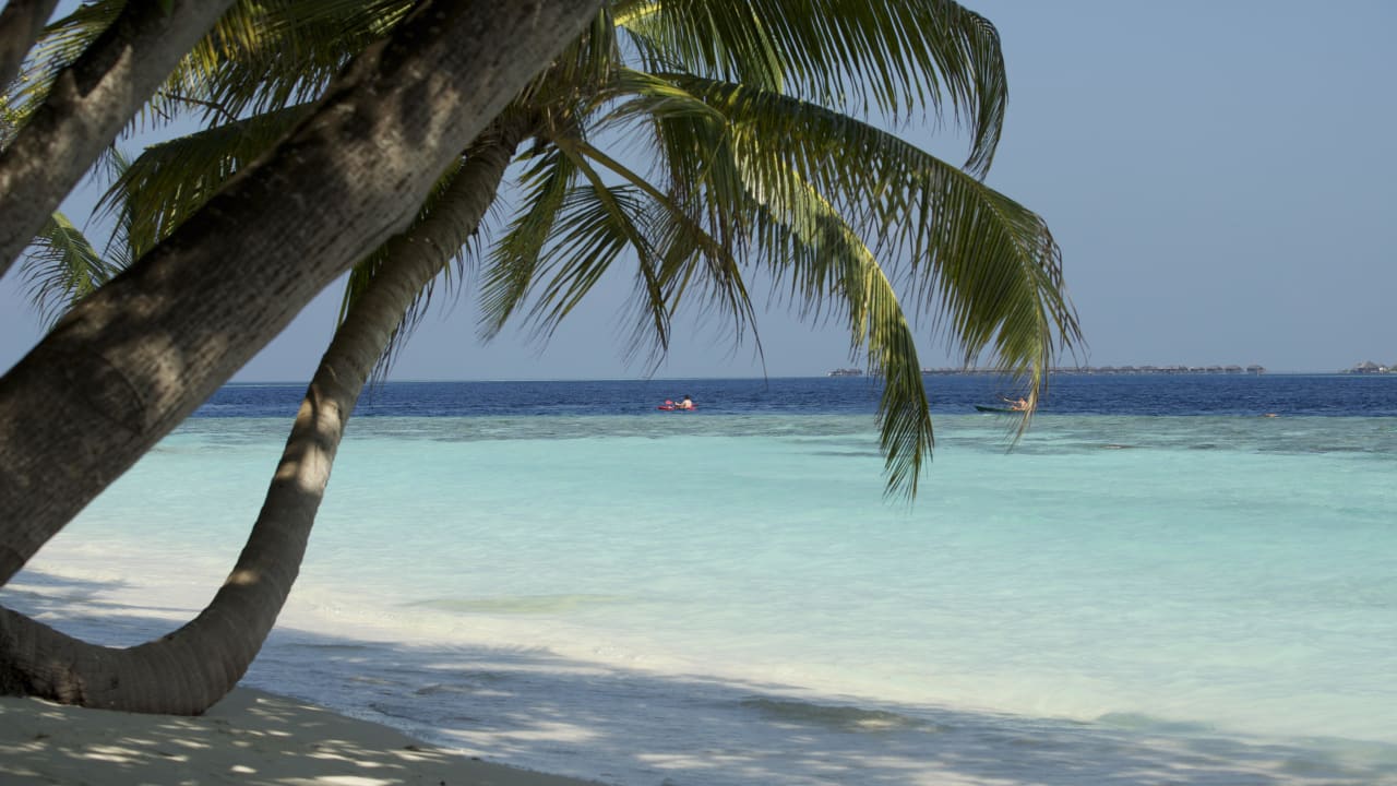 Strandabschnitt Nordseite Vilamendhoo Island Resort & Spa