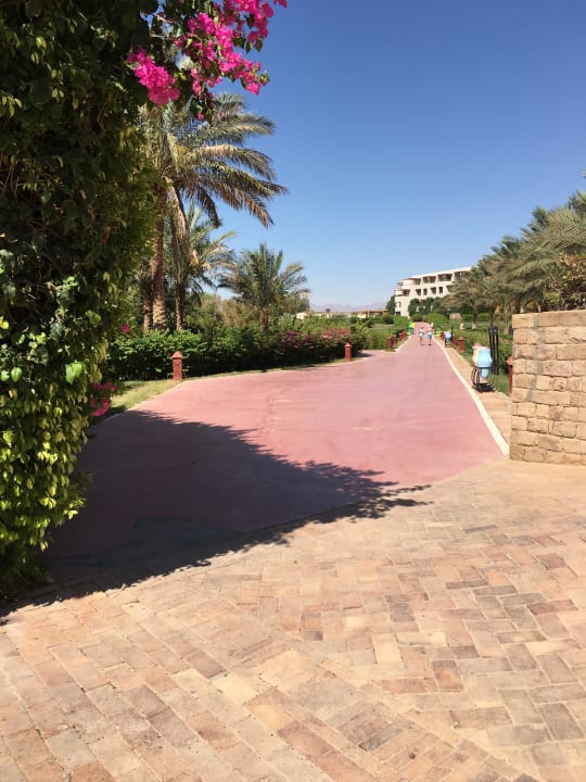 Gartenanlage Fort Arabesque Resort, Spa & Villas