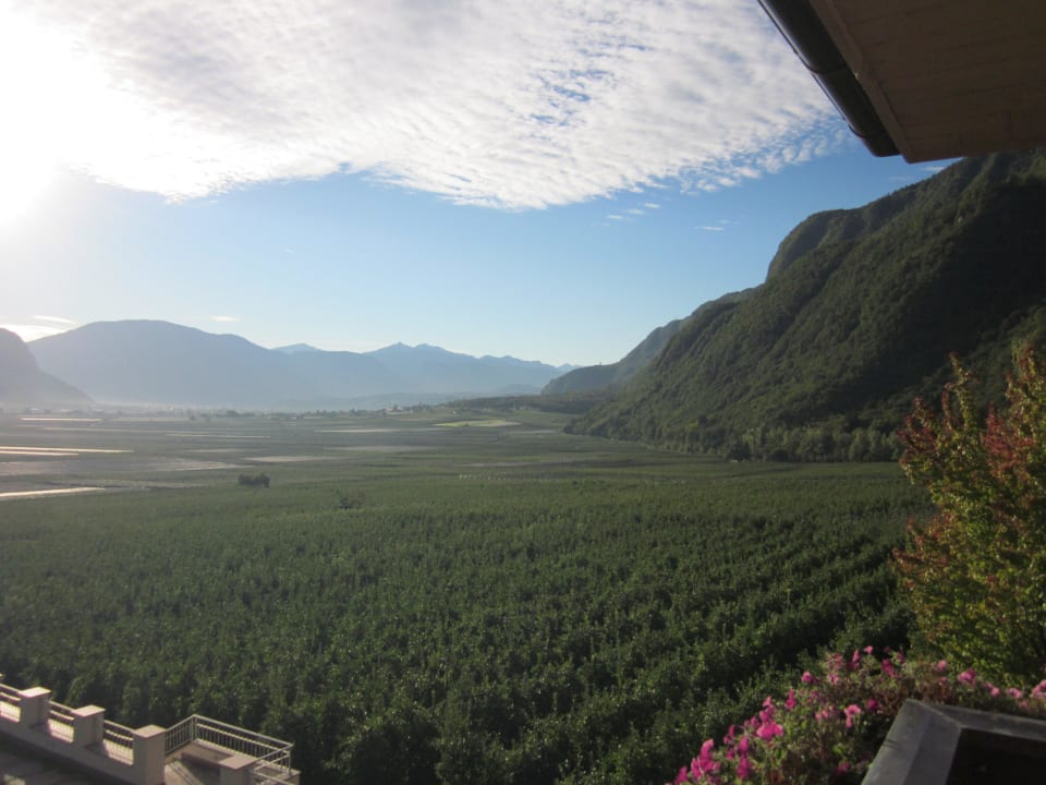 Ausblick Gardenhotel Wilma