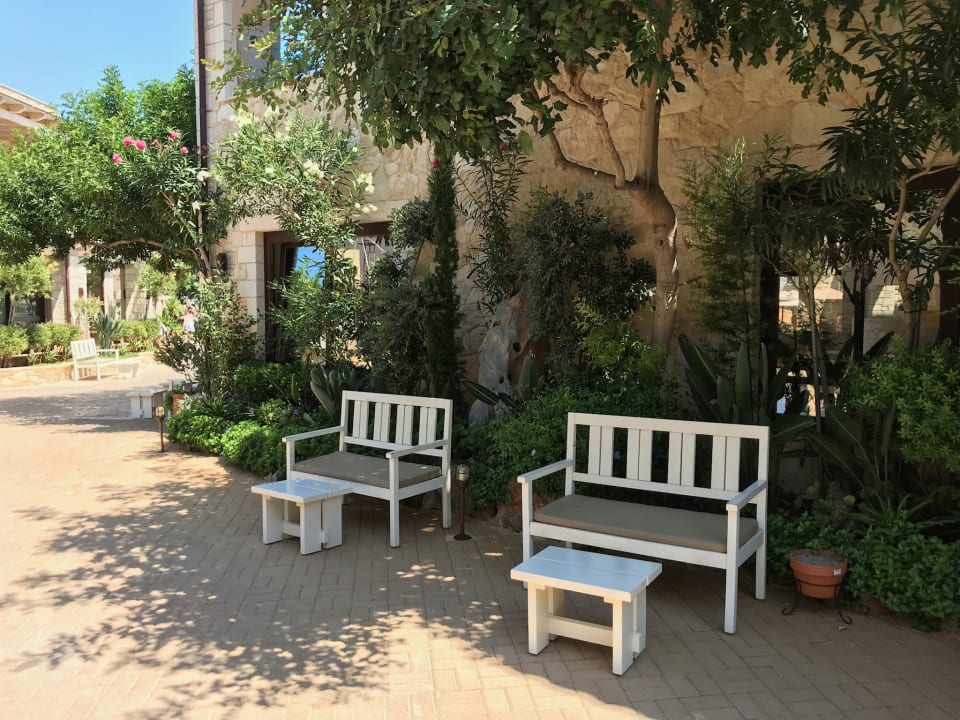 Gartenanlage Cactus Royal