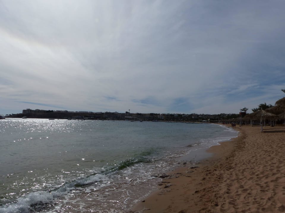 Schöner Strand zum Schnorcheln JAZ Neo Naama Bay