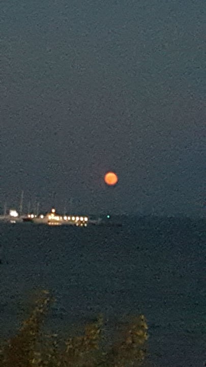 Ausblick Hotel Sineva Beach