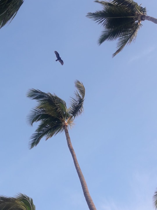 Strand Villas Bavaro Resort & Spa