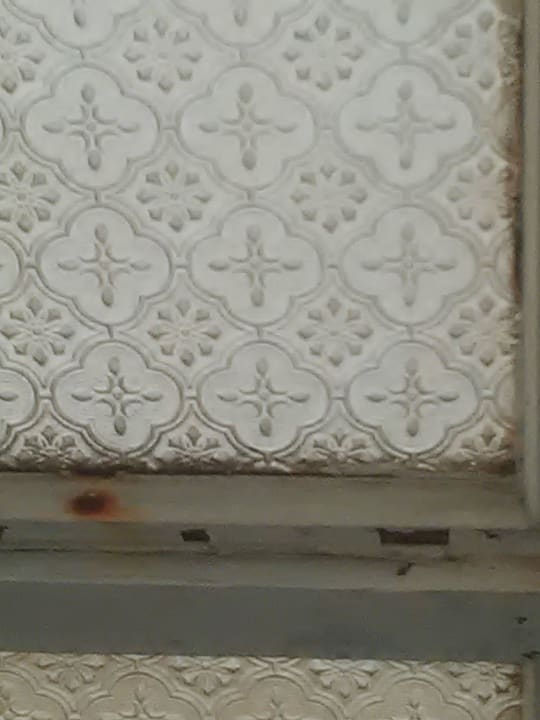 Gammelige Fenstr im Bad Monica Isabel Beach Club