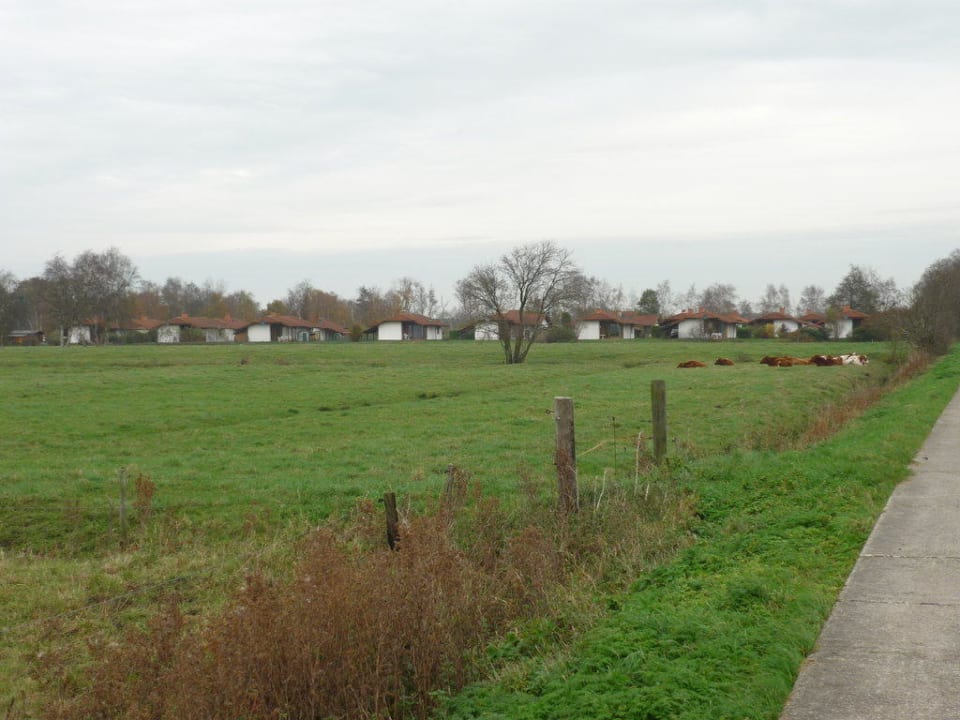 Feriendorf vom Moorweg Feriendorf Sehestedt