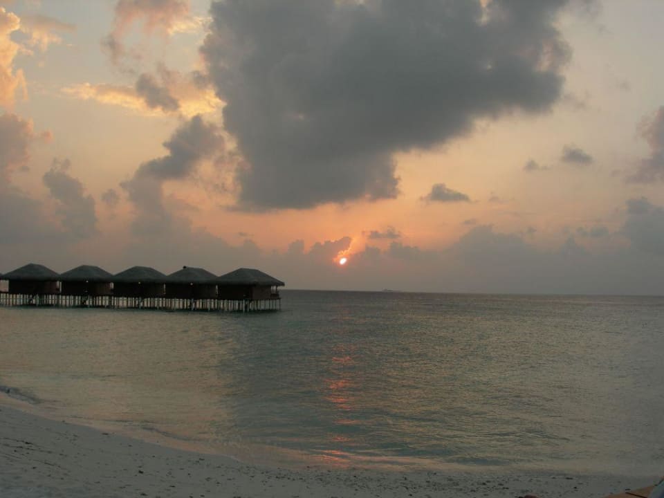 Wasserbungalow Filitheyo Island Resort