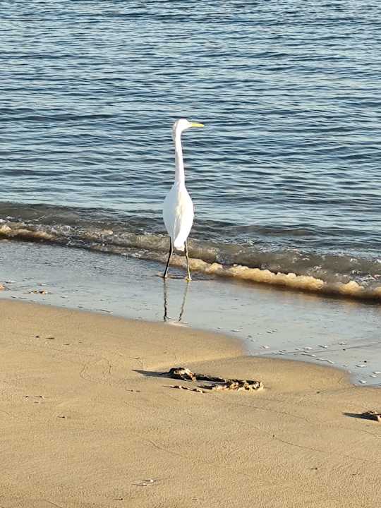 Strand Casa Mare Resort