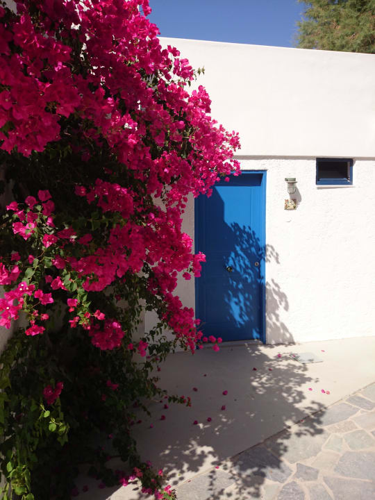 Farbenpracht Knossos Beach Bungalows Suites Resort & Spa