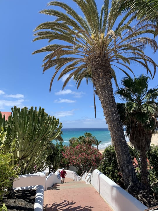 Gartenanlage Aldiana Club Fuerteventura