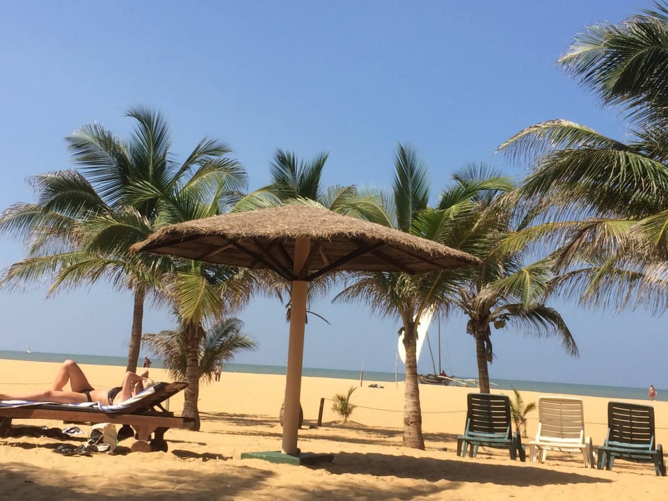 Strand am Hotel Goldi Sands Hotel