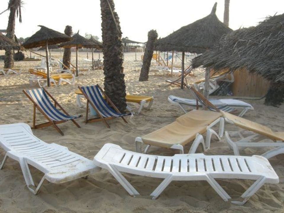 Liegenauswahl am Strand Hotel Paradis Palace