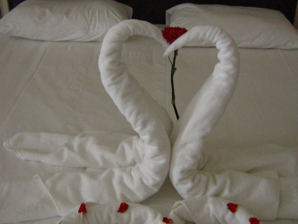 Kunstwerk aus Handtücher Aydinbey Kings Palace & Spa