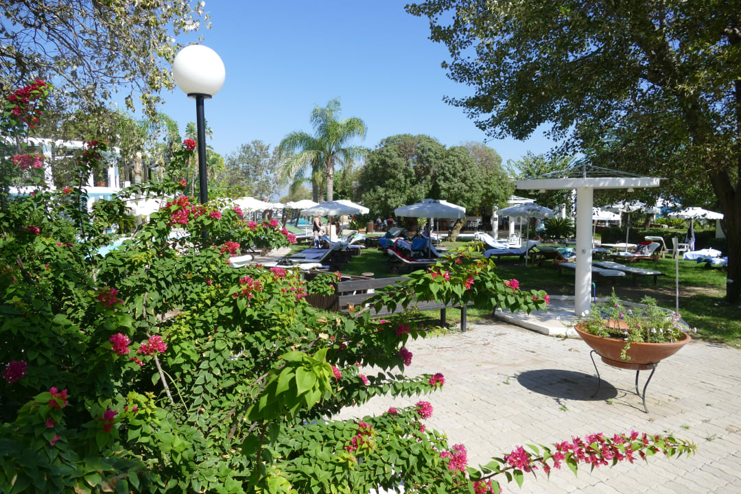 Gartenanlage Hotel Calypso Beach