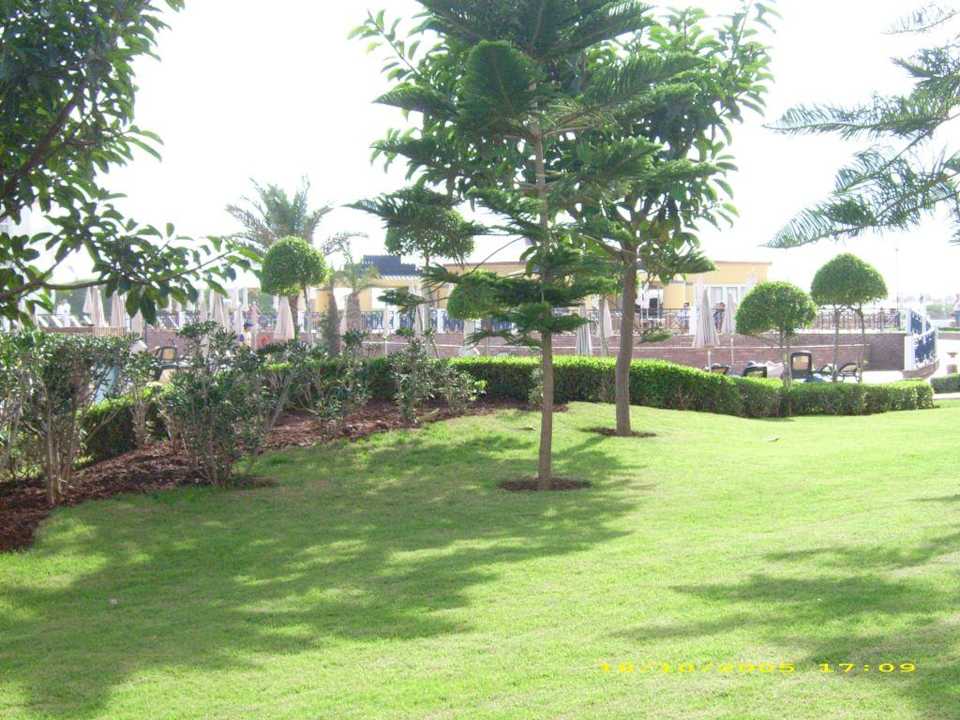 Blick zum Pool Iberostar Waves Founty Beach