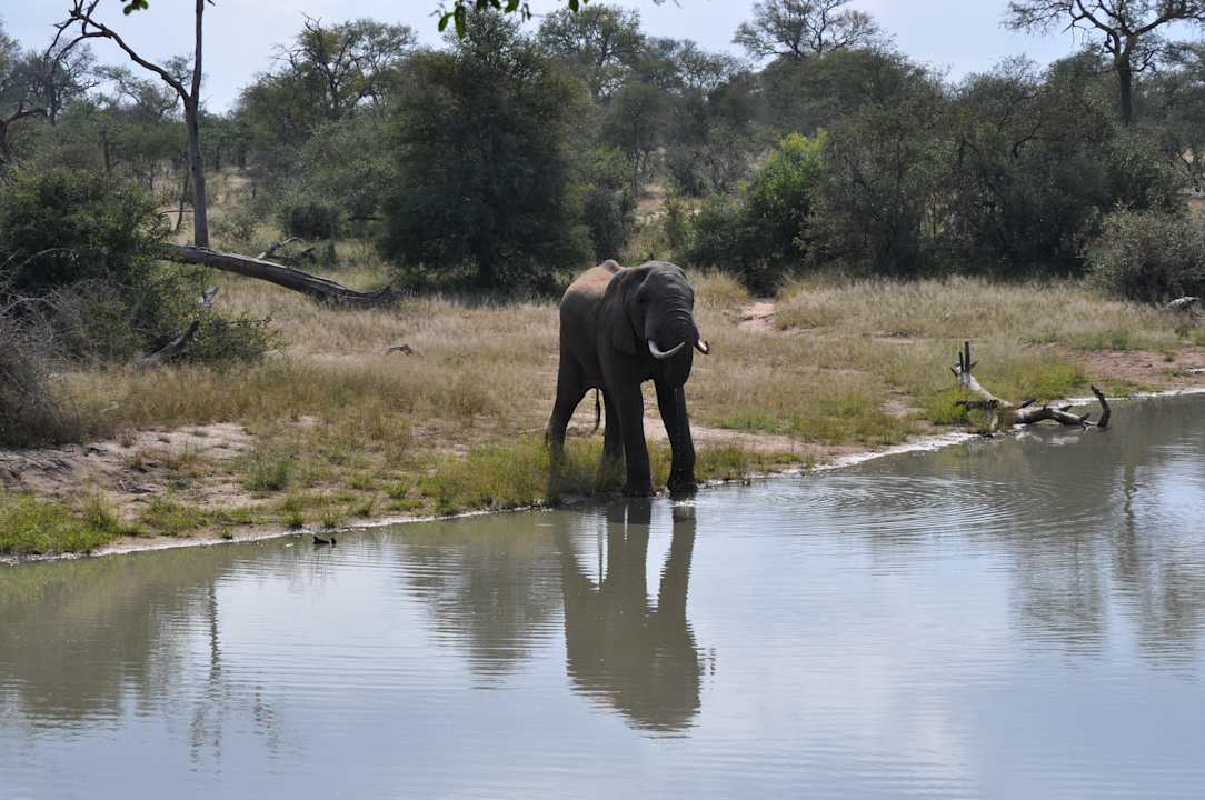 Ausblick Gomo Gomo Game Lodge