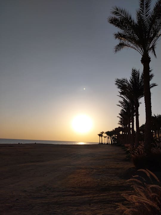 Strand Steigenberger Coraya Beach - Adults only