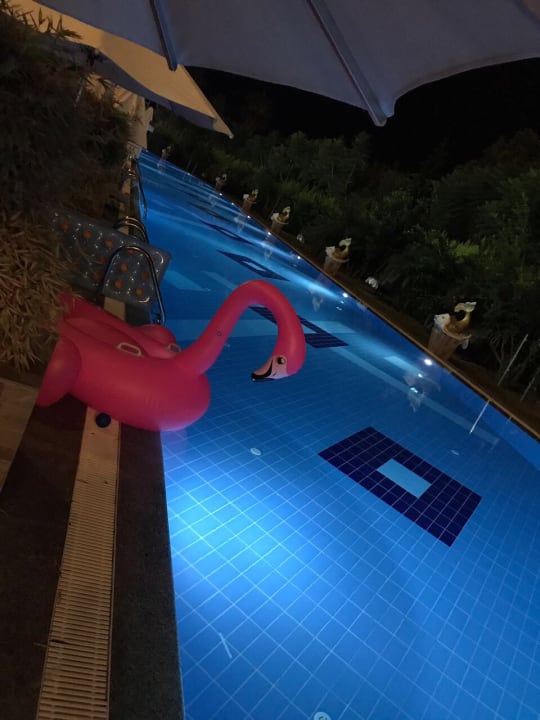 Pool Hotel Delphin Imperial