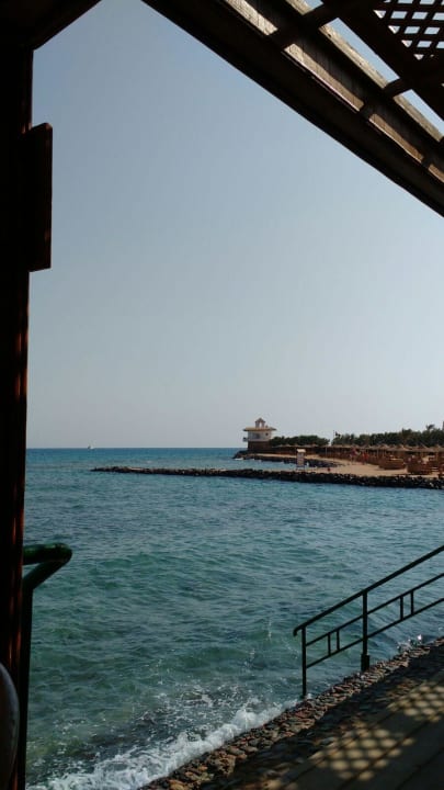 Ausblick aufs Meer Desert Rose