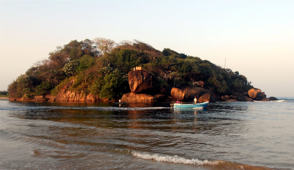Fischfang bei Sonnenaufgang! Hotel Lanka Princess Ayurveda