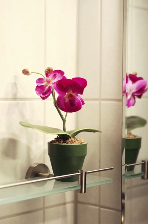 Zimmer Haus Sonnenruh