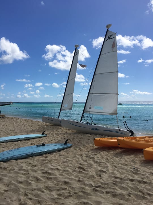 Freizeitangebot  Hotel Viva Dominicus Palace by Wyndham-All Inclusive Resort